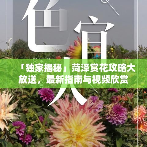 人杰地灵 第2页