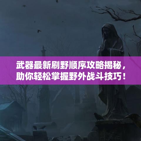 武器最新刷野顺序攻略揭秘，助你轻松掌握野外战斗技巧！