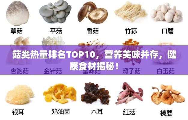 蜎飞蠢动 第2页