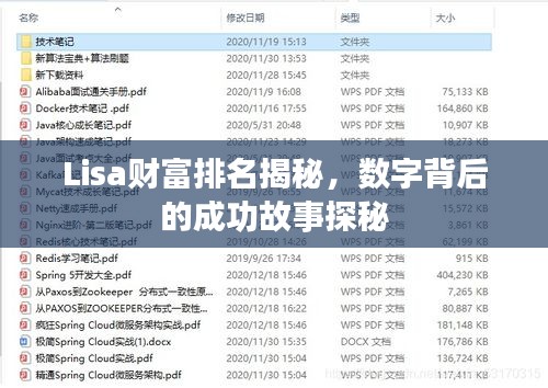 Lisa财富排名揭秘，数字背后的成功故事探秘