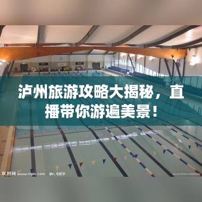 泸州旅游攻略大揭秘，直播带你游遍美景！