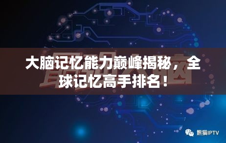 大脑记忆能力巅峰揭秘，全球记忆高手排名！