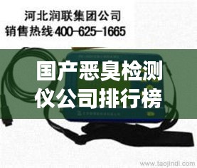国产恶臭检测仪公司排行榜及行业影响力解析