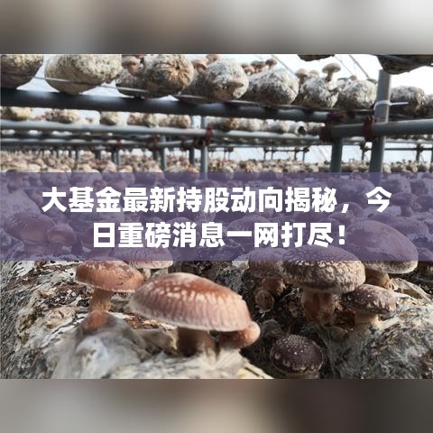 昙花一现 第2页