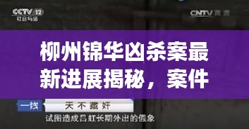 柳州锦华凶杀案最新进展揭秘，案件视频曝光，深度剖析案件细节与背景
