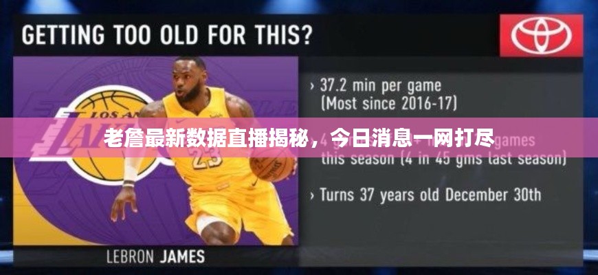 勤勤恳恳 第2页