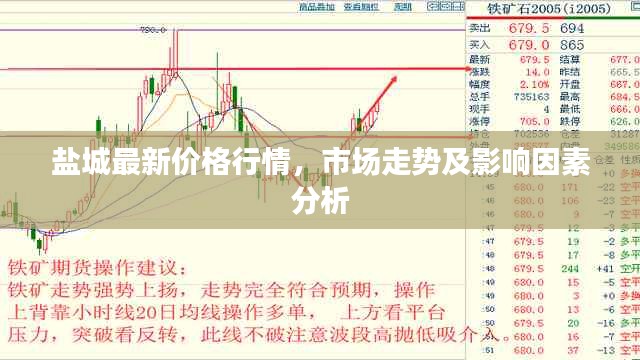 盐城最新价格行情，市场走势及影响因素分析