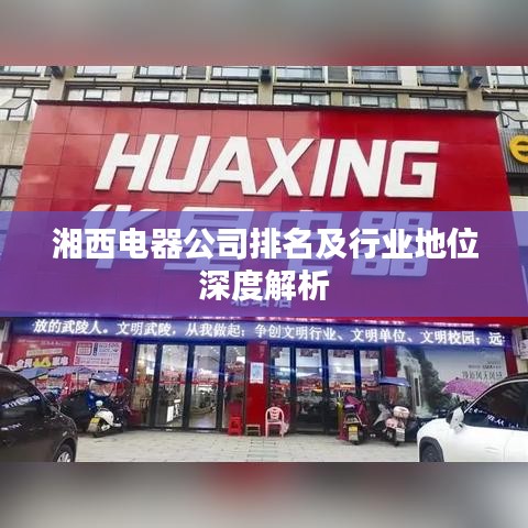 湘西电器公司排名及行业地位深度解析