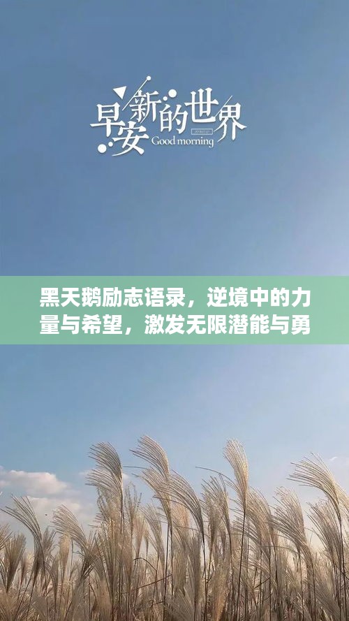黑天鹅励志语录，逆境中的力量与希望，激发无限潜能与勇气！