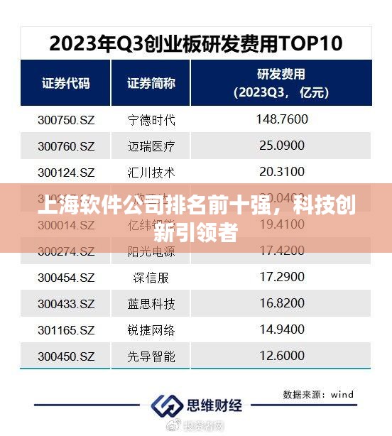 上海软件公司排名前十强，科技创新引领者