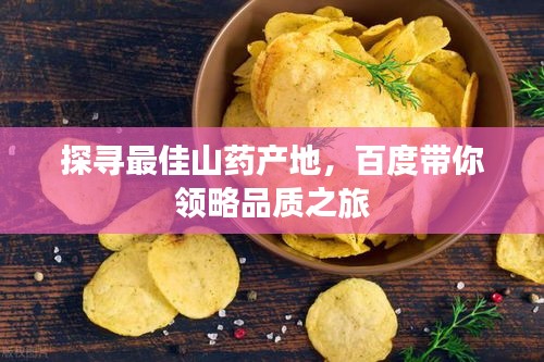 探寻最佳山药产地，百度带你领略品质之旅