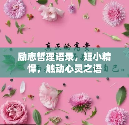励志哲理语录，短小精悍，触动心灵之语