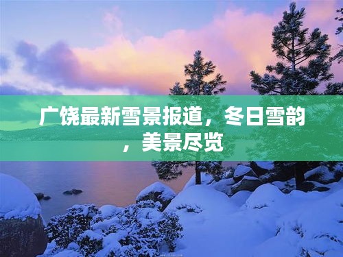 广饶最新雪景报道，冬日雪韵，美景尽览