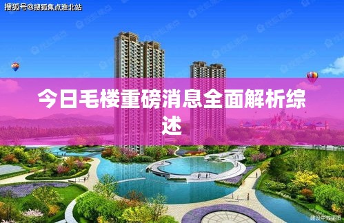 今日毛楼重磅消息全面解析综述