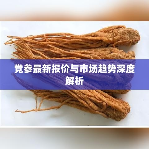 党参最新报价与市场趋势深度解析