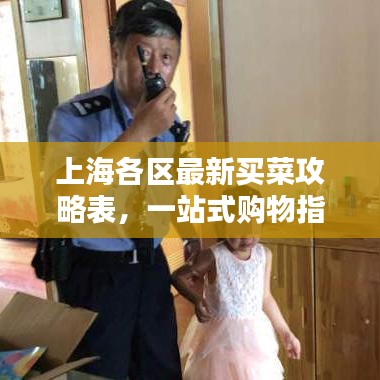 上海各区最新买菜攻略表，一站式购物指南