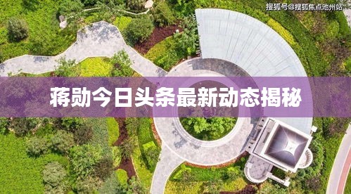 蒋勋今日头条最新动态揭秘