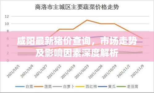 咸阳最新猪价查询，市场走势及影响因素深度解析