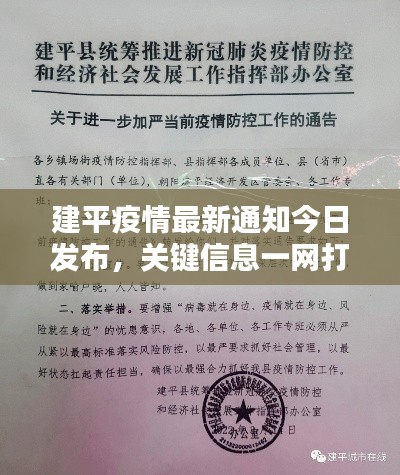 建平疫情最新通知今日发布，关键信息一网打尽