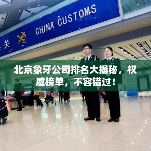 北京象牙公司排名大揭秘，权威榜单，不容错过！