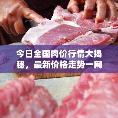 今日全国肉价行情大揭秘，最新价格走势一网打尽