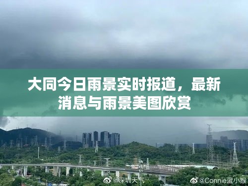 越鸟南栖 第2页