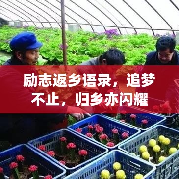 都中纸贵 第2页