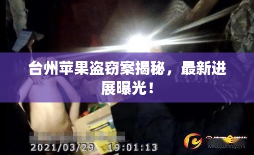 台州苹果盗窃案揭秘，最新进展曝光！