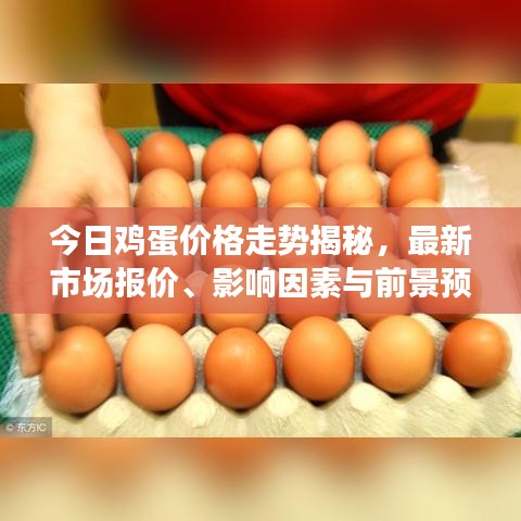 今日鸡蛋价格走势揭秘，最新市场报价、影响因素与前景预测分析