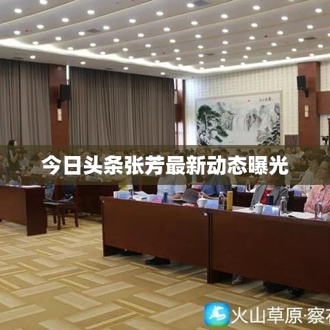 今日头条张芳最新动态曝光