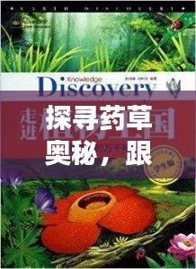 探寻药草奥秘，跟随百度揭秘植物世界，探寻药草身份之谜