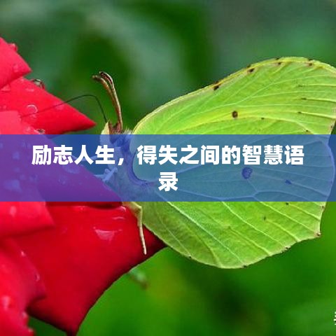 励志人生，得失之间的智慧语录