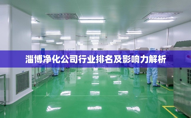 淄博净化公司行业排名及影响力解析
