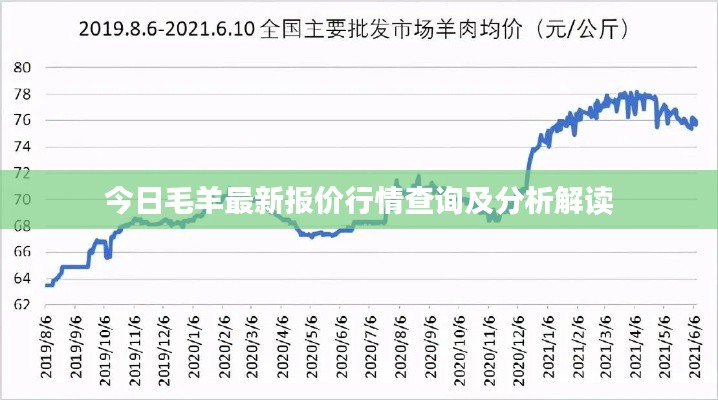 今日毛羊最新报价行情查询及分析解读