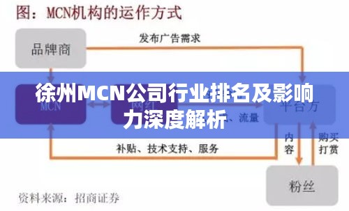 徐州MCN公司行业排名及影响力深度解析