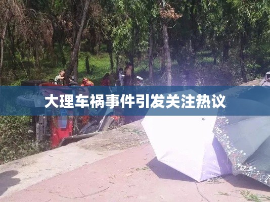 大理车祸事件引发关注热议