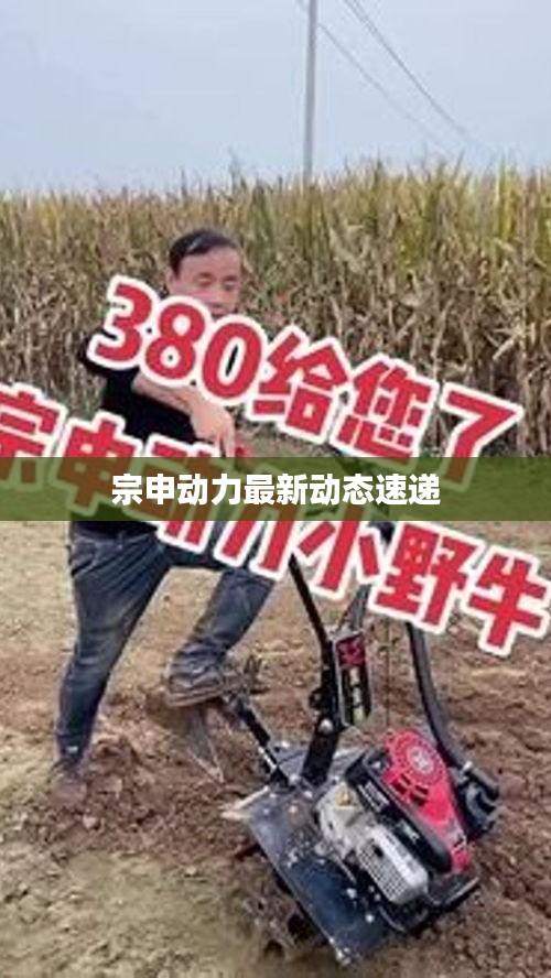 避实就虚 第2页
