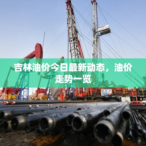 吉林油价今日最新动态，油价走势一览