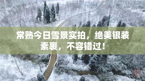 常熟今日雪景实拍，绝美银装素裹，不容错过！
