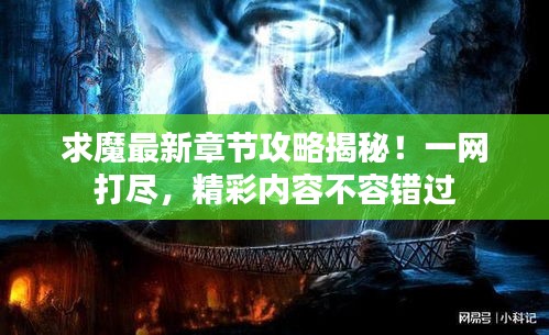 东张西望 第2页