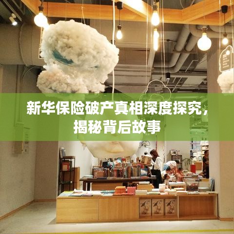 新华保险破产真相深度探究，揭秘背后故事