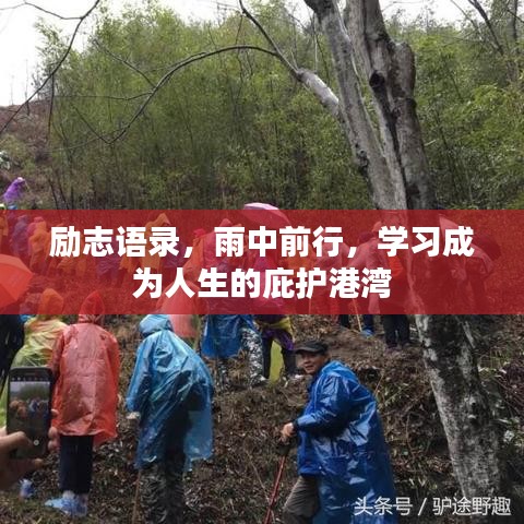 励志语录，雨中前行，学习成为人生的庇护港湾
