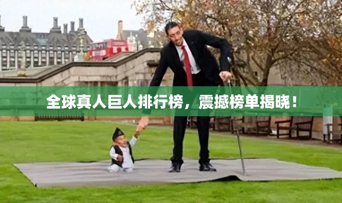 全球真人巨人排行榜，震撼榜单揭晓！