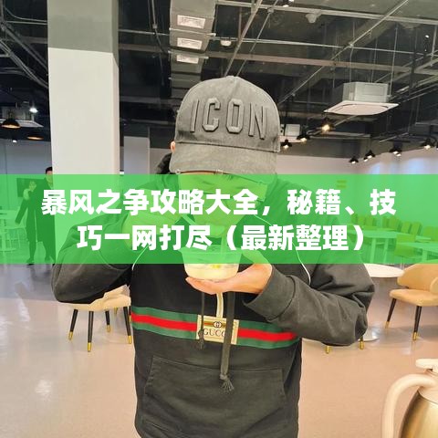 暴风之争攻略大全，秘籍、技巧一网打尽（最新整理）