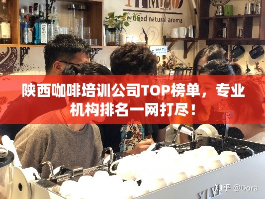 陕西咖啡培训公司TOP榜单，专业机构排名一网打尽！