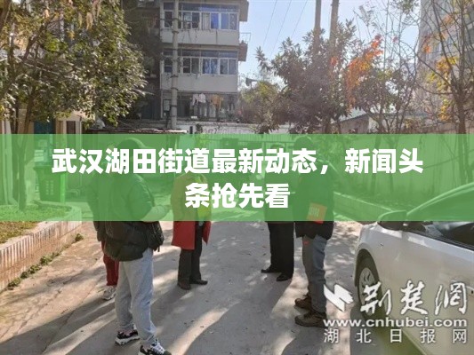 武汉湖田街道最新动态，新闻头条抢先看
