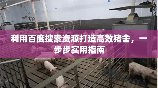 利用百度搜索资源打造高效猪舍，一步步实用指南