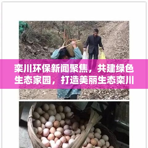栾川环保新闻聚焦，共建绿色生态家园，打造美丽生态栾川