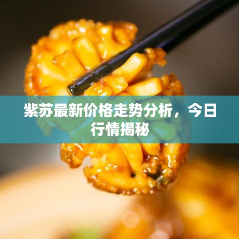 紫苏最新价格走势分析，今日行情揭秘