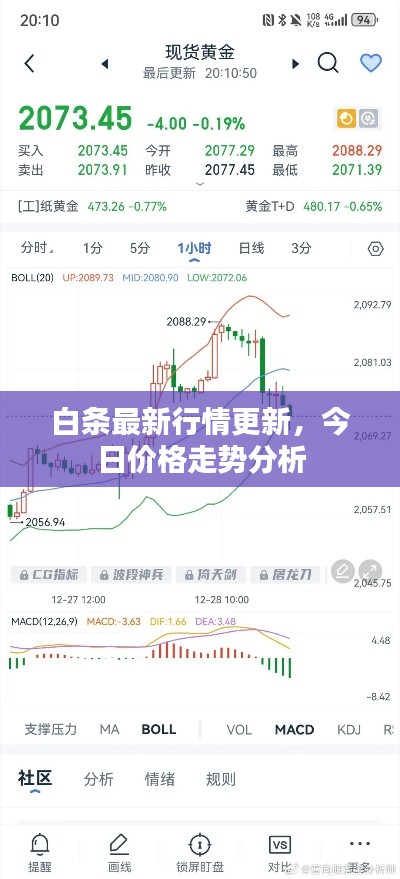 白条最新行情更新，今日价格走势分析